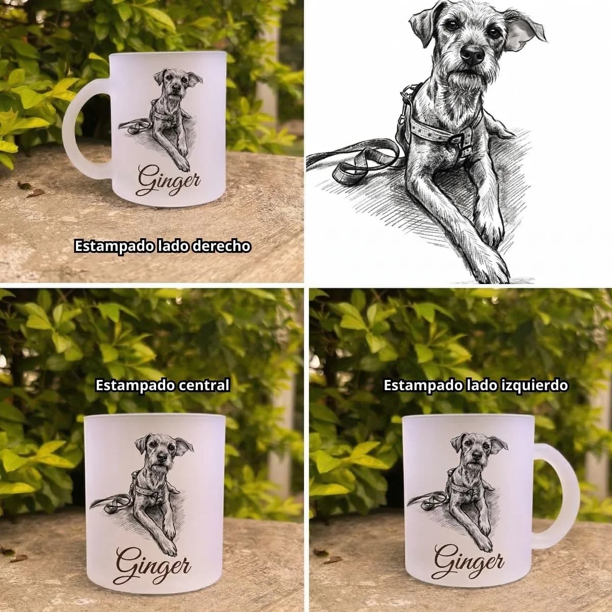 Taza 11 onz